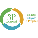 3P Akademi